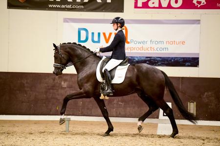 Duvals Zeeland Dressage Cup sept. '21 2e plaats 4 jarige Racoon Duval 4 -jarige september 2021 2e plaats