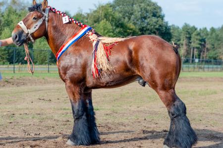 Foto spermabestellen.nu Domien van Luchteren